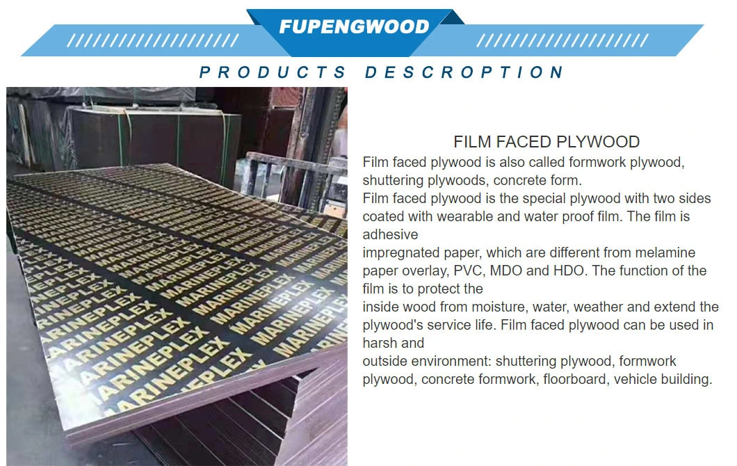 Green PP Plastic Polyester Coated Formwork Film Faced Plywood Plywood