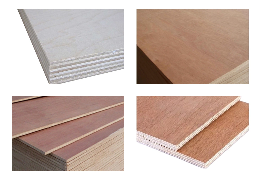 Hot Sales Commercial Plywood for Middle East and North Africa